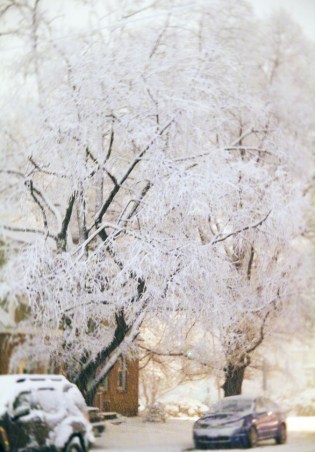 Snapshot near midnight